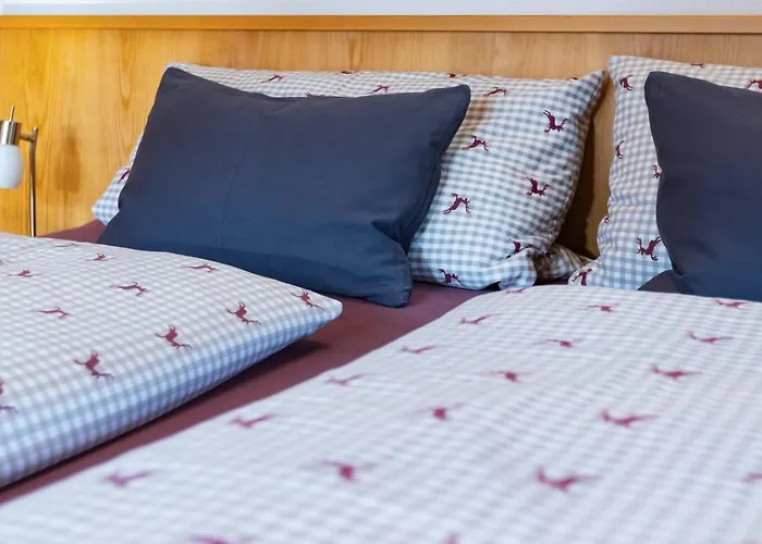 Gidnhof Апартаменты Тринс