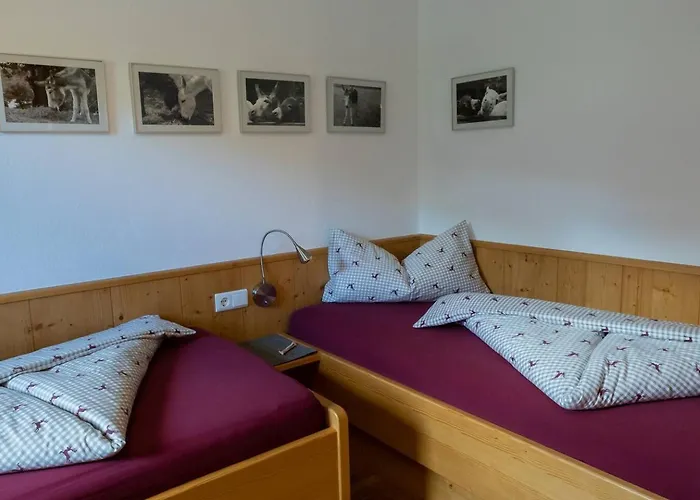 Gidnhof * Тринс