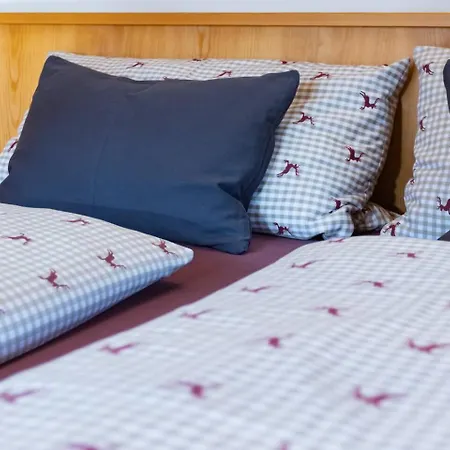 Gidnhof Apartament Trins